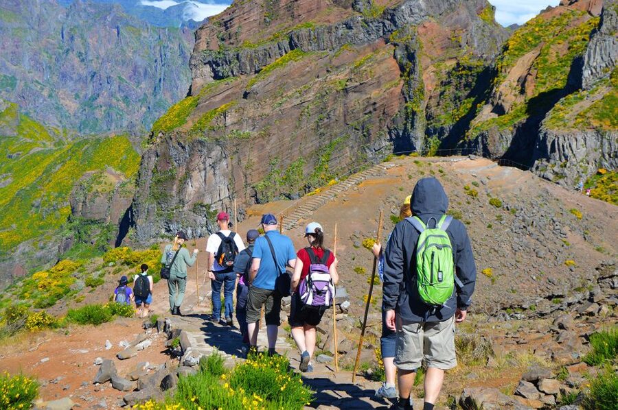 From Funchal: Madeira Peaks Mountain Walk - Should you book the Madeira Peaks Mountain Walk?