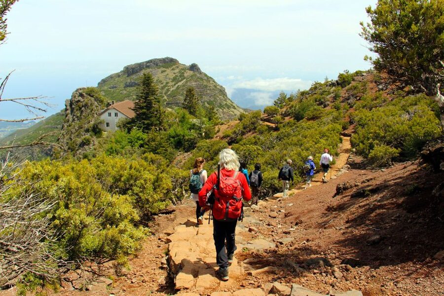 From Funchal: Madeira Peaks Mountain Walk - The first steps near Pico do Arieiro