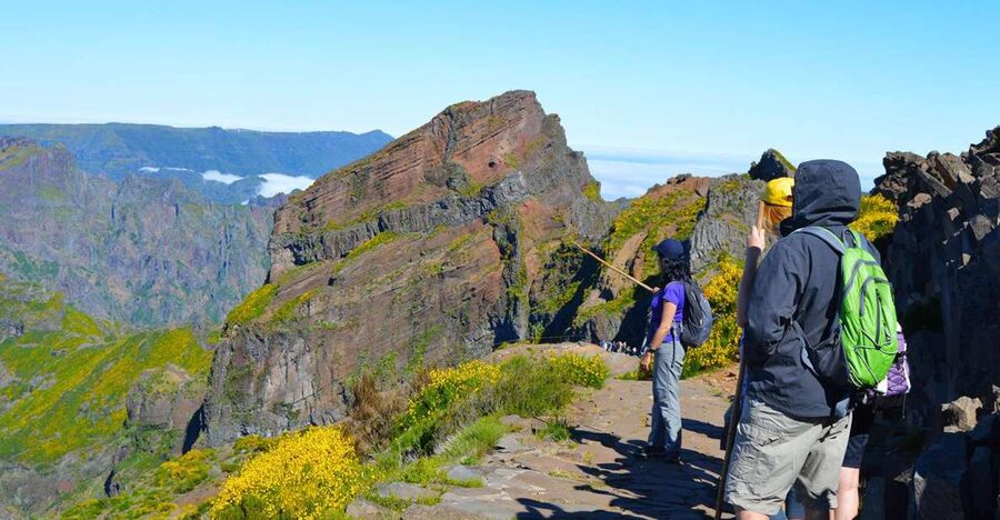 From Funchal: Madeira Peaks Mountain Walk - Plants, flowers, and Madeira’s old heather forest