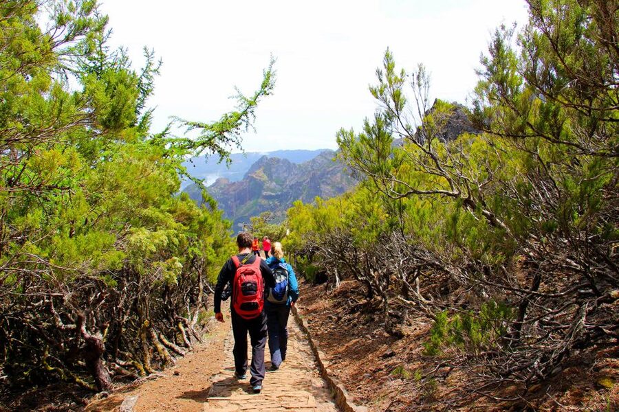 From Funchal: Madeira Peaks Mountain Walk - Reaching Pico Ruivo above the clouds