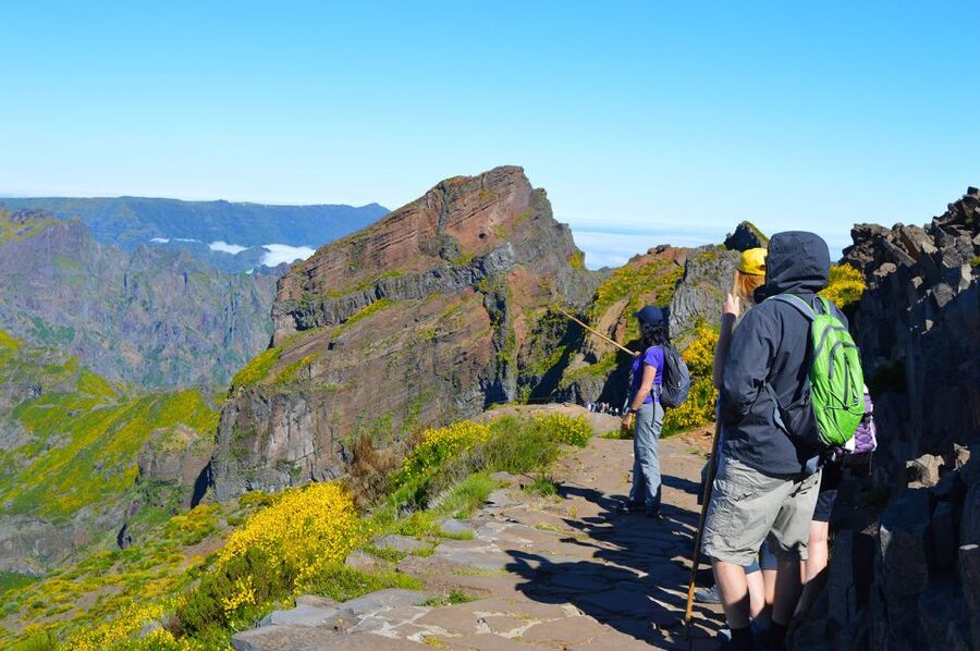 From Funchal: Madeira Peaks Mountain Walk - Steep stairs, railings, and the real effort involved