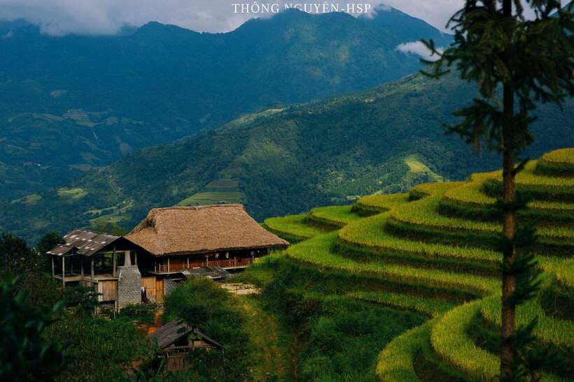 From Ha Giang Trekking Day Trip With Local Guide - The three-hour climb through forest and terraces