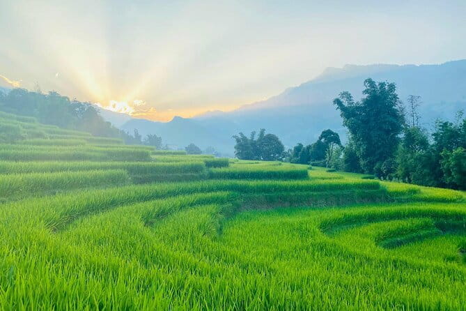 From Hà Nội ; Mu Cang Chai 3 Days 2 Nights By Car and Trekking - La Pán Tẩn: A Full Day on Rice Terrace Paths