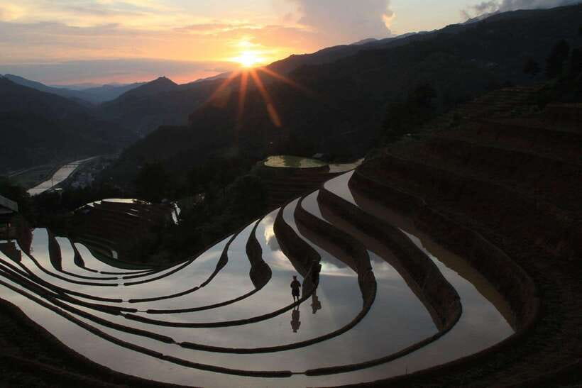 From Hanoi: 1-day Sapa Trekking Tour With Overnight Bus - A fast route to Sapa’s rice terraces