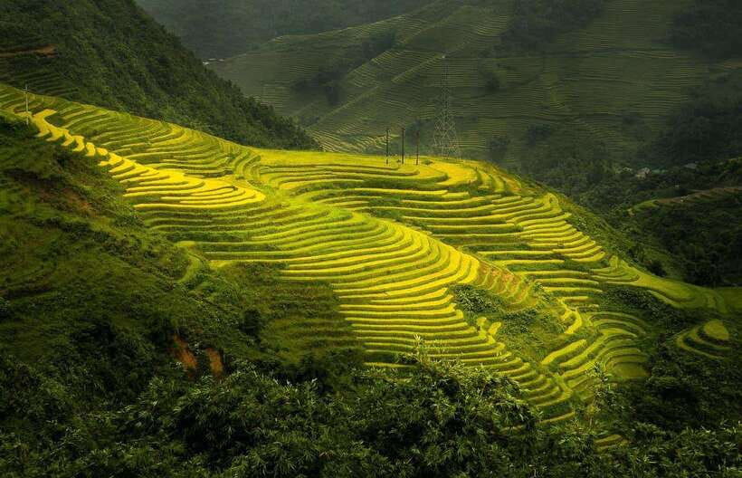 From Hanoi: 1-day Sapa Trekking Tour With Overnight Bus - The overnight bus from Hanoi