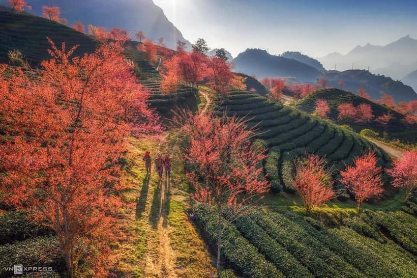 From Hanoi: 2-Day Luxury Sapa Trekking Tour with Homestay - Why this Sapa trek works well in two days