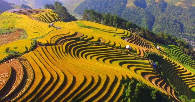 From Hanoi: 2-Day Luxury Sapa Trekking Tour with Homestay - What the included transport and meals are worth
