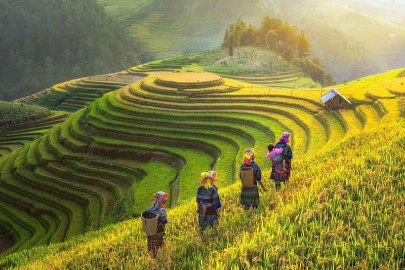 From Hanoi: 2-Day Luxury Sapa Trekking Tour with Homestay - The overnight ride from Hanoi to Sapa