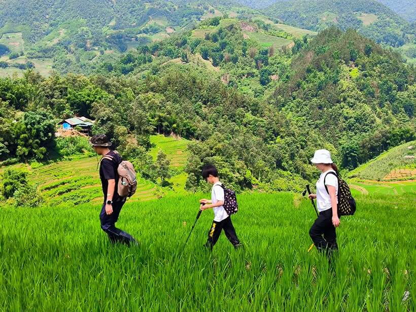 From Hanoi: 2-Day Sapa Trek Tour - Luxury Limousine Transfer - Should you book this Sapa trek?
