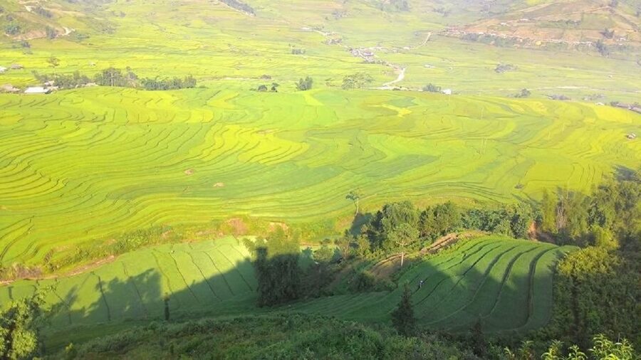 From Hanoi: 2 Day Sapa Trekking To Village & Bungalow, Meals - Y Linh Ho and Lao Chai: the main walk