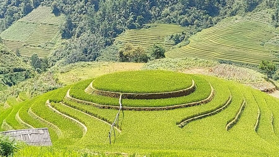 From Hanoi: 2 Day Sapa Trekking To Village & Bungalow, Meals - An evening in Ta Van with a local family