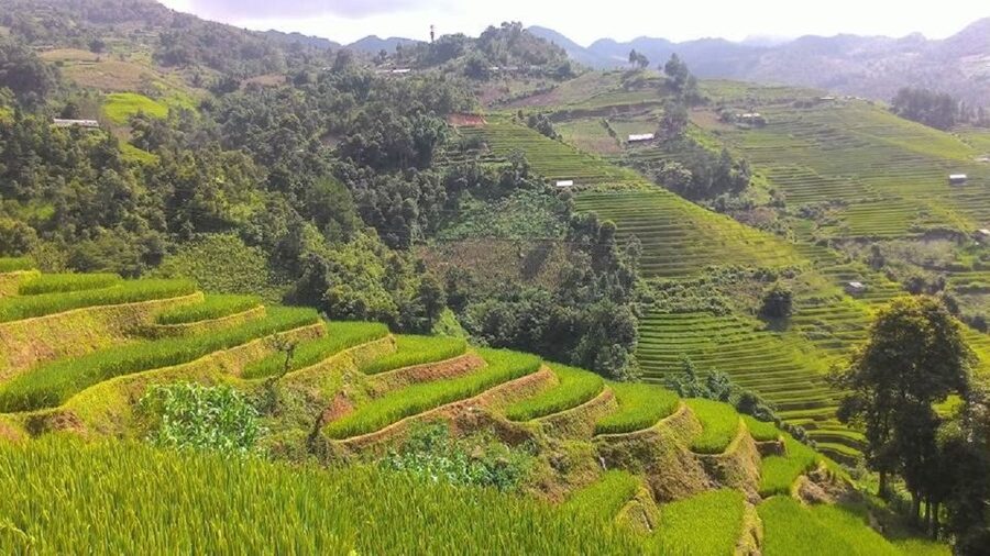From Hanoi: 2 Day Sapa Trekking To Village & Bungalow, Meals - Lunch, Sapa free time, and the ride home