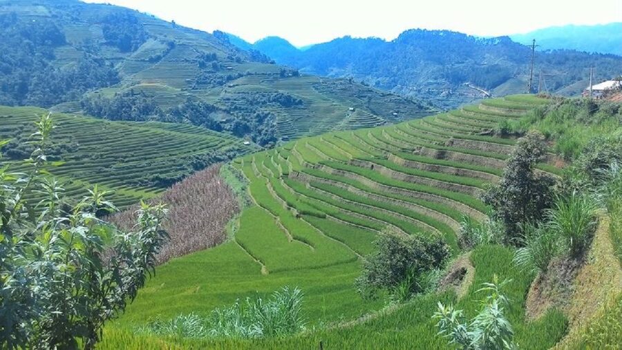 From Hanoi: 2 Day Sapa Trekking To Village & Bungalow, Meals - What the $87 price really covers