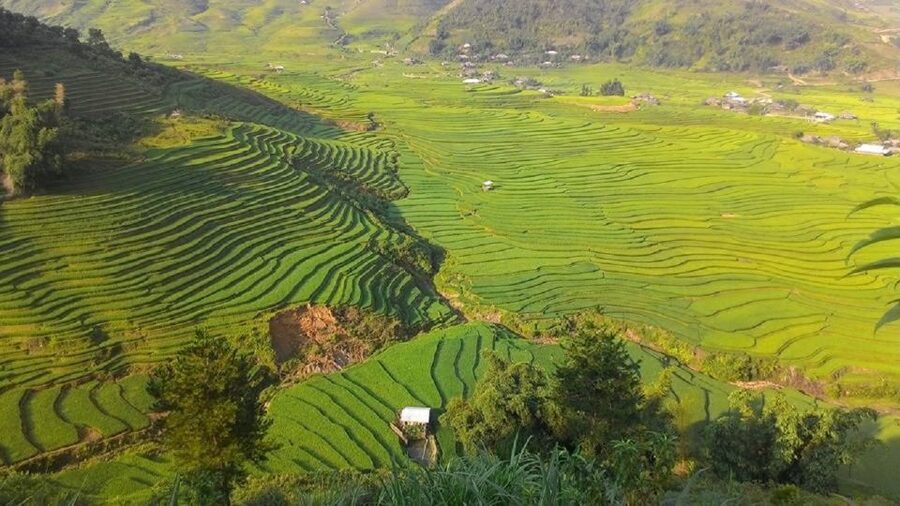 From Hanoi: 2 Day Sapa Trekking To Village & Bungalow, Meals - The early bus from Hanoi to Sapa