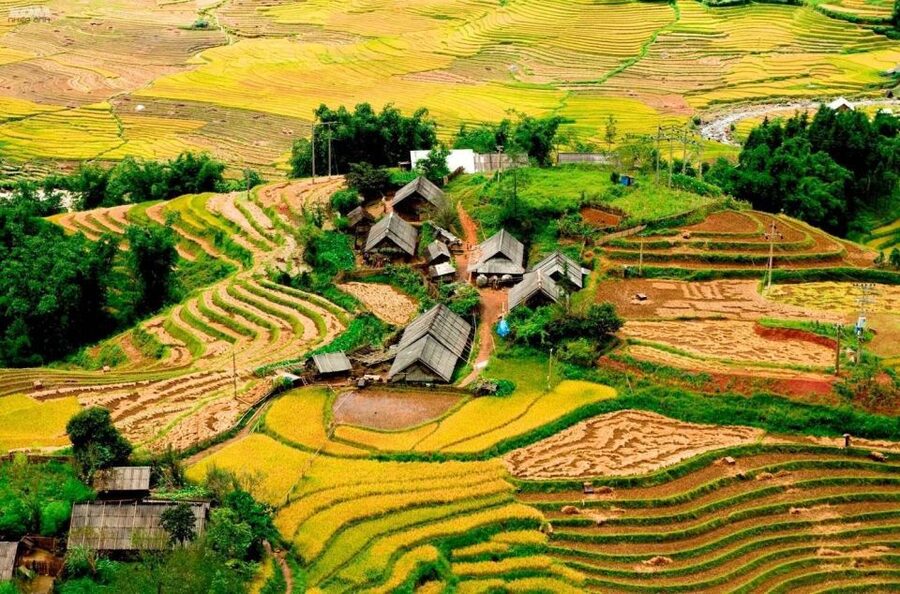 From Hanoi: 2-Day Sapa Trekking Trip with Homestay & Meals - Why this Sapa trip feels more personal