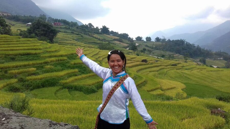 From Hanoi: 2-Day Sapa Trekking Trip with Homestay & Meals - Day two: bamboo forest, fields, and a final look at Sapa