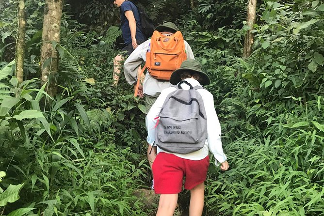 From Hanoi: 2 Days Luxury Sapa Trek & Fansipan Peak with Dcar - The Hanoi to Sapa ride in a Dcar limousine