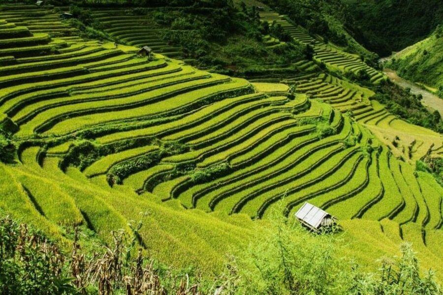 From Hanoi: 2-Days Sapa Trekking Tour Lao Chai and Cat Cat - Key points to know before booking