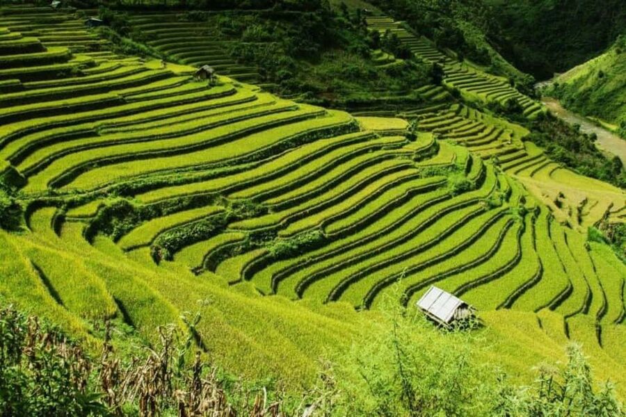 From Hanoi: 2-Days Sapa Trekking Tour Lao Chai and Cat Cat - Why this Sapa trip works well from Hanoi