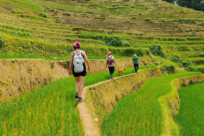 From Hanoi: 2D1N Mu Cang Chai Private Trekking & Homestay - Key points to know before booking