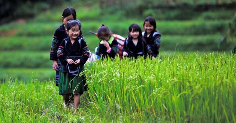From Hanoi: 3-Day Sapa Trek with Guide, Homestay and Meals - Day 2: Muong Hoa Valley, Lao Chai, and Ta Van