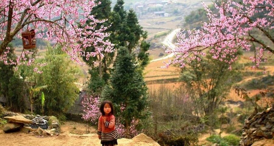From Hanoi: 3-Day Sapa Trek with Guide, Homestay and Meals - What the accommodation is really like