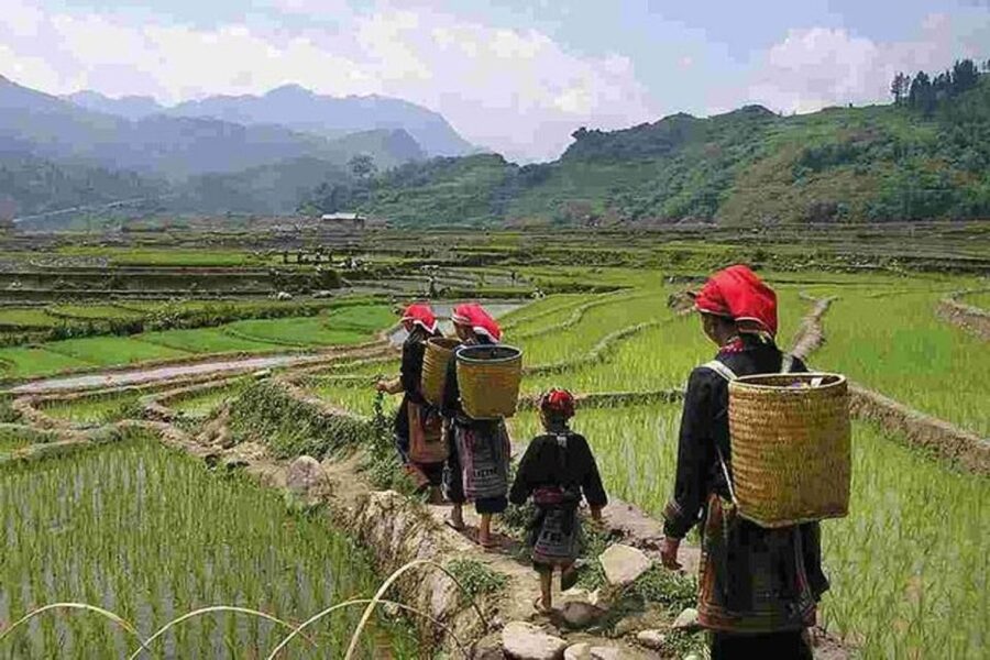 From Hanoi: 3-Day Sapa Trek with Guide, Homestay and Meals - Should you book it?