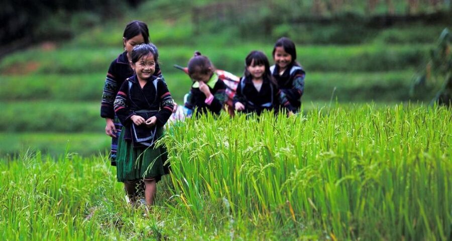 From Hanoi: 3-Day Sapa Trek with Guide, Homestay and Meals - Day 1: Hanoi to Sapa and the Cat Cat waterfall