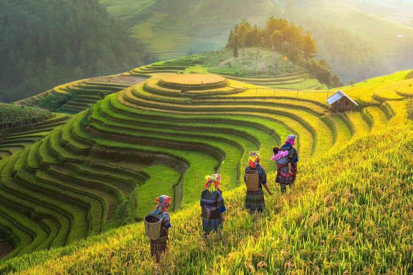 From Hanoi: 3-Day Sapa Trekking (sleep at hotel & homestay) - Key points to know before booking