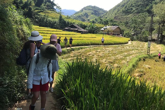 From Hanoi: 3 Days Luxury Sapa Trek & Fansipan Peak with Dcar - Day 3: Ham Rong Mountain before the return to Hanoi
