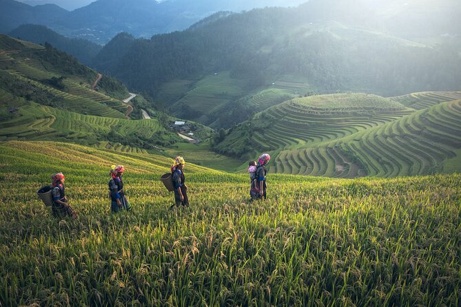 From Hanoi: 3 Days Sapa Trekking & Ethnic Villages by Dcar - Day three: Ham Rong Mountain before the drive home
