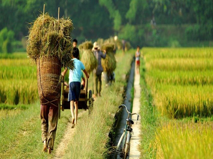From Hanoi: Mai Chau Valley & Hill Tribes 2-Day Trek Tour - A White Thai evening at the homestay
