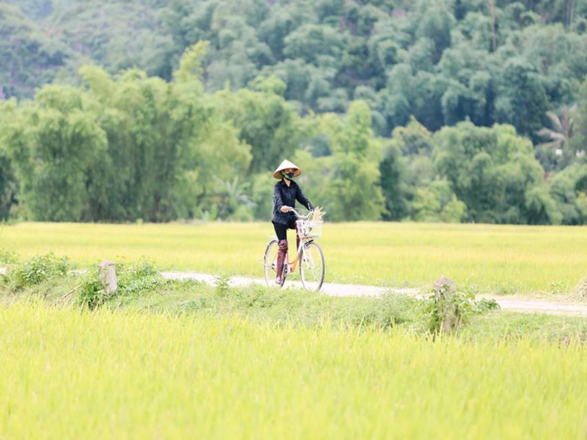 From Hanoi: Mai Chau Valley & Hill Tribes 2-Day Trek Tour - What the $185 price covers