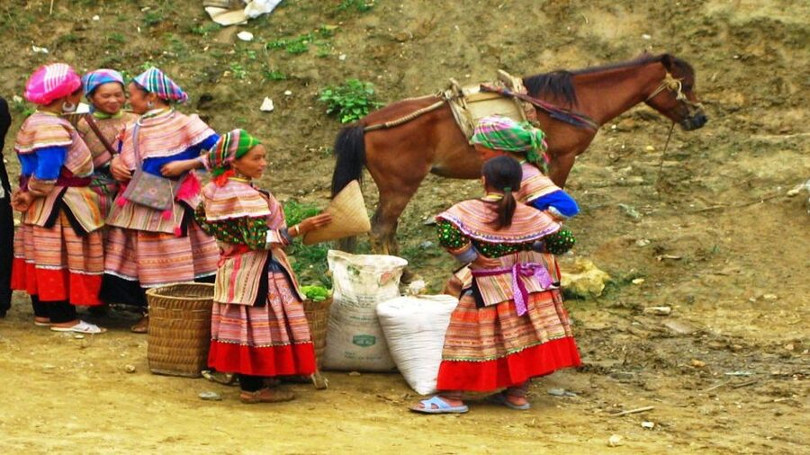 From Hanoi: Sapa 3-Day Medium Trek and Limousine Trip - Who should choose this trip
