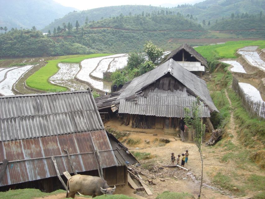 From Hanoi: Sapa 3-Day Medium Trek and Limousine Trip - What the homestay is really like