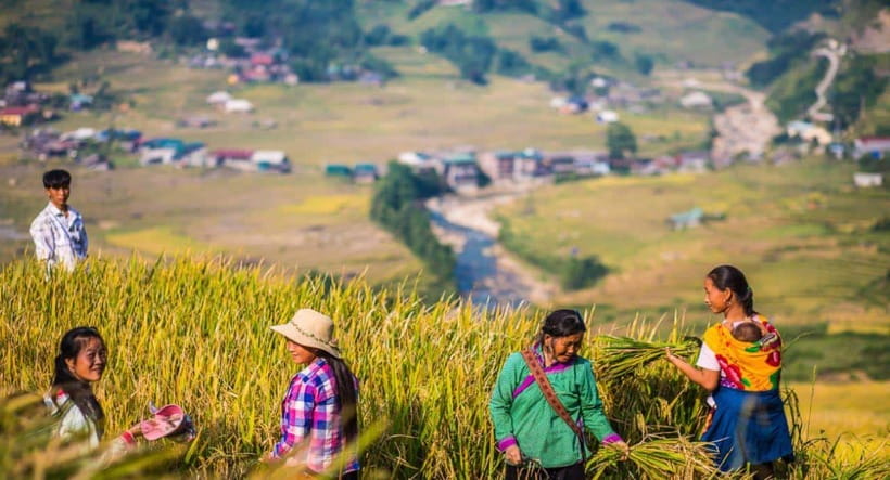 From Hanoi: Trek and Stay: 3-Day Sapa Highlands Adventure - What the Ta Van homestay is really like
