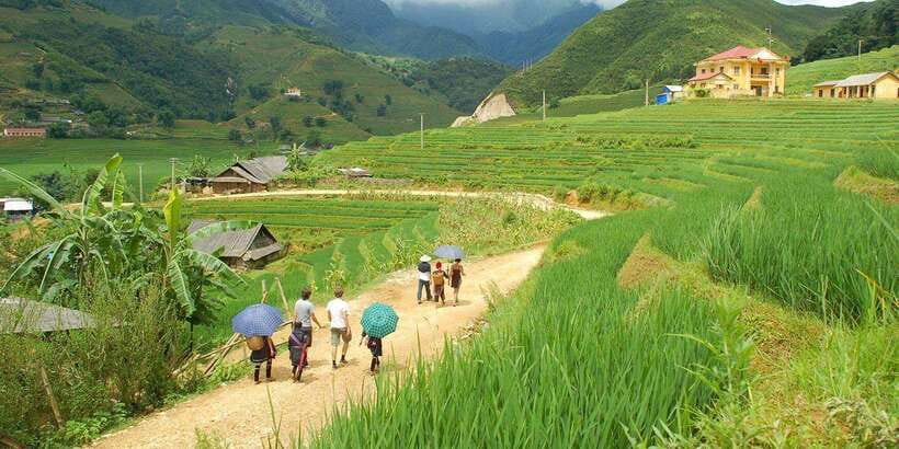 From Hanoi: Trek and Stay: 3-Day Sapa Highlands Adventure - Who should book this Sapa trip