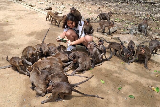 From Ho Chi Minh: Can Gio Trek – Monkey Island & Crocodile Farm - Seafood market and a generous Vietnamese lunch