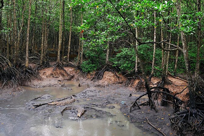 From Ho Chi Minh: Can Gio Trek – Monkey Island & Crocodile Farm - Who will enjoy this day most