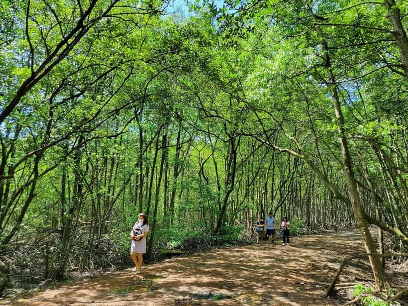 From Ho Chi Minh City: Can Gio Mangrove & Monkey Island Trek - Walking to the Rung Sac Revolutionary Base