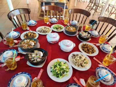 From Ho Chi Minh City: Can Gio Mangrove & Monkey Island Trek