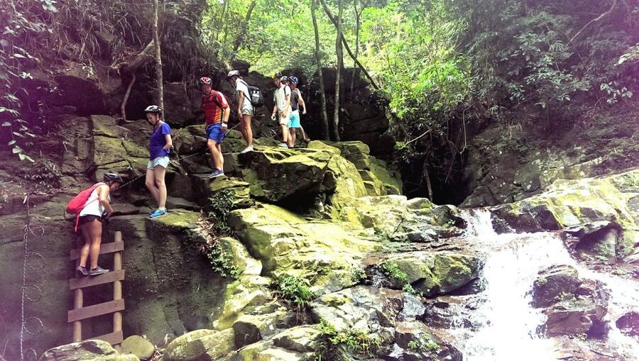 From Hue/Da Nang/Hoi An: Bach Ma National Park Trekking Tour - A proper day in Bach Ma National Park