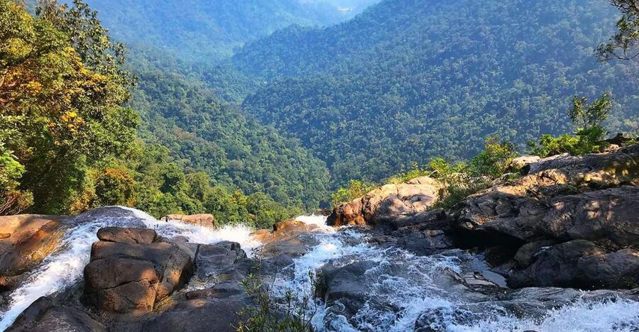From Hue/Da Nang/Hoi An: Bach Ma National Park Trekking Tour - Do Quyen Waterfall and the final walk