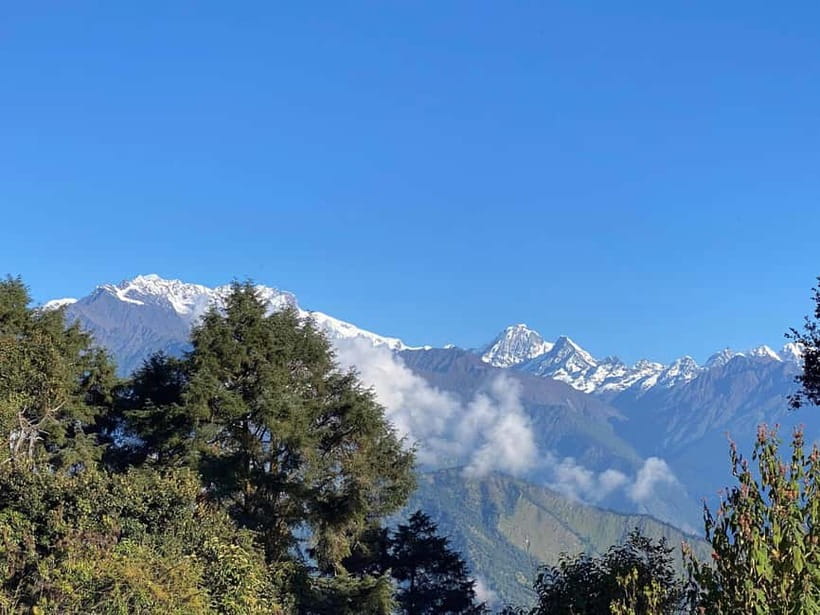 From Kathmandu: 5-Day Gosaikunda Lake Trek - Day 4: Forest descent back to Dhunche