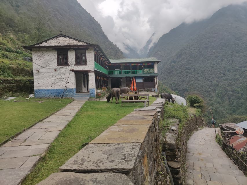 From Kathmandu: 7-Day Annapurna Basecamp Trek - Day 2: Kathmandu to Ghandruk by road