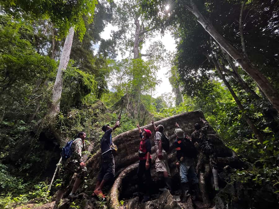 From Khao Sok: Half-Day Rainforest Trek with Local Guides - What makes this trek worth your morning