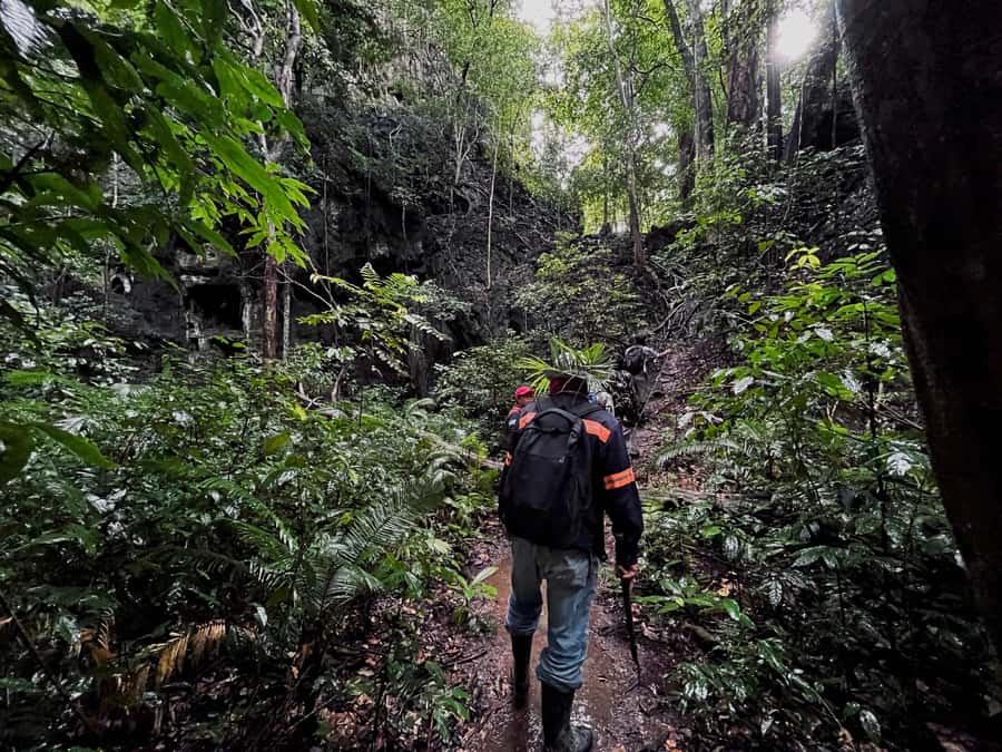 From Khao Sok: Half-Day Rainforest Trek with Local Guides - A quieter side of Khao Sok