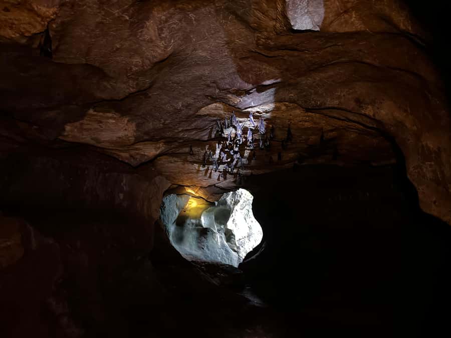 From Khao Sok: Half-Day Rainforest Trek with Local Guides - Caves, monkeys, and route surprises