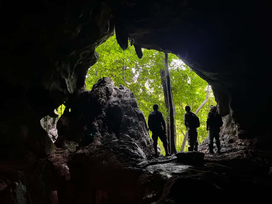 From Khao Sok: Half-Day Rainforest Trek with Local Guides - Who will enjoy this half-day outing