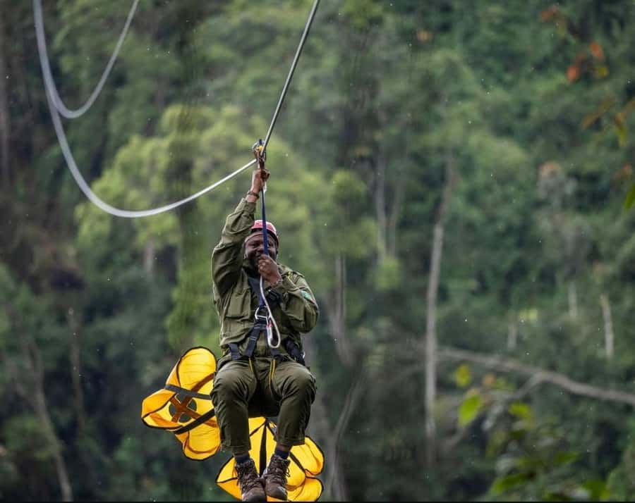 From Kigali: 2 days chimpanzee trekking and canopy walk - Tea fields and the work behind every cup